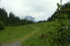 KONICA MINOLTA DIGITAL CAMERA