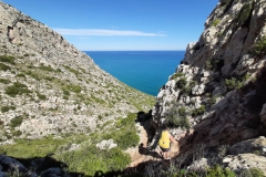 293d6686e75a66e1bc8fe8cb2cde8652d089fcbcdb68415f628b96c0d37988cb