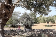 b0c46989f14a70162bdad8ef004950fbaff9dcad6eb15dc21fd43f1f3d3b6ae7