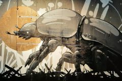 SWK-Jens-Richter-BUGA23-12