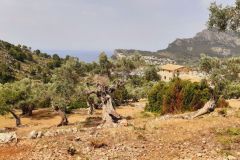 2022-05-Mallorca-169