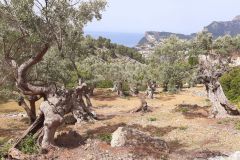 2022-05-Mallorca-171