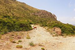 2022-05-Mallorca-207