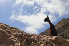 2022-05-Mallorca-222