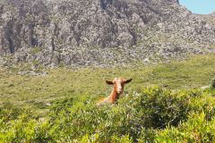 2022-05-Mallorca-228
