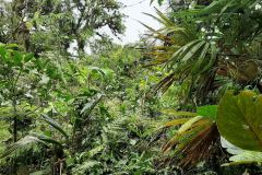 2024-Panama-170