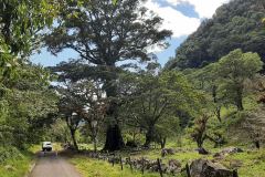 2024-Panama-200