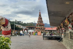 2024-Panama-238