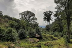 2024-Panama-250