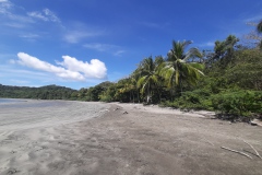 2024-Panama-298