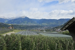 Alpenueberquerung-2024-245