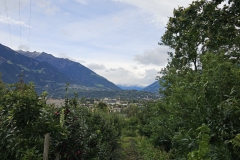 Alpenueberquerung-2024-265