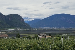 Alpenueberquerung-2024-280