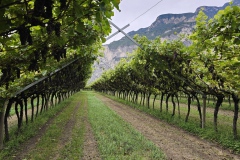 Alpenueberquerung-2024-345