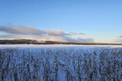 Lappland-121
