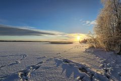 Lappland-154