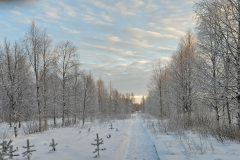 Lappland-160