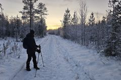 Lappland-163