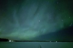 Lappland-181