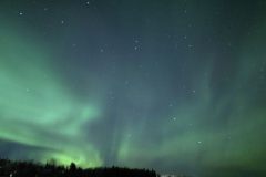 Lappland-184