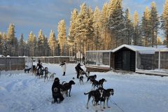 Lappland-214