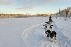 Lappland-223
