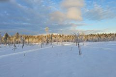 Lappland-226