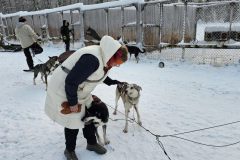 Lappland-232
