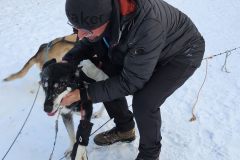 Lappland-236