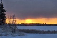 Lappland-241