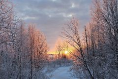 Lappland-244