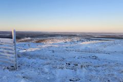 Lappland-321