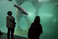 Norwegen-Cruise-2026-1020