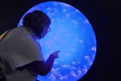 Norwegen-Cruise-2026-1021