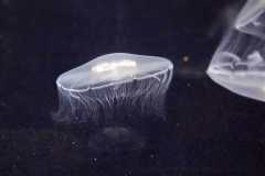 Norwegen-Cruise-2026-1024