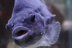 Norwegen-Cruise-2026-1027