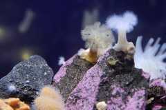 Norwegen-Cruise-2026-1030