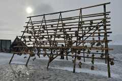 Norwegen-Cruise-2026-1081