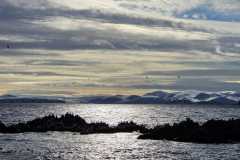 Norwegen-Cruise-2026-1102