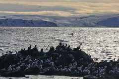 Norwegen-Cruise-2026-1105