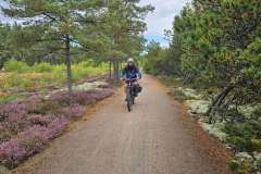 Fahrradtour-Suedschweden-2026-1281