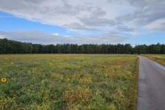 Fahrradtour-Suedschweden-2026-1284